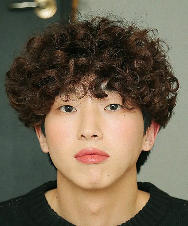 Gaya Rambut Pria Afro